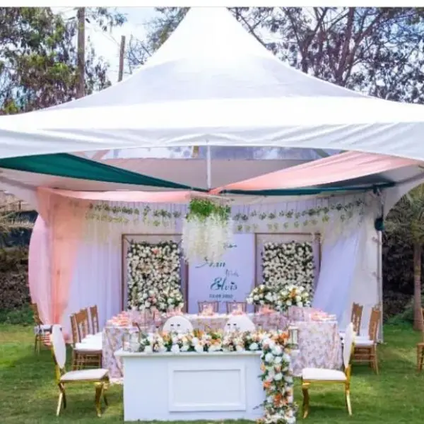 Alpine Tent